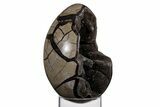 Septarian Dragon Egg Geode - Black Crystals #219100-1